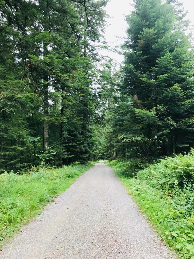 Haus Jenni Im Schwarzwald